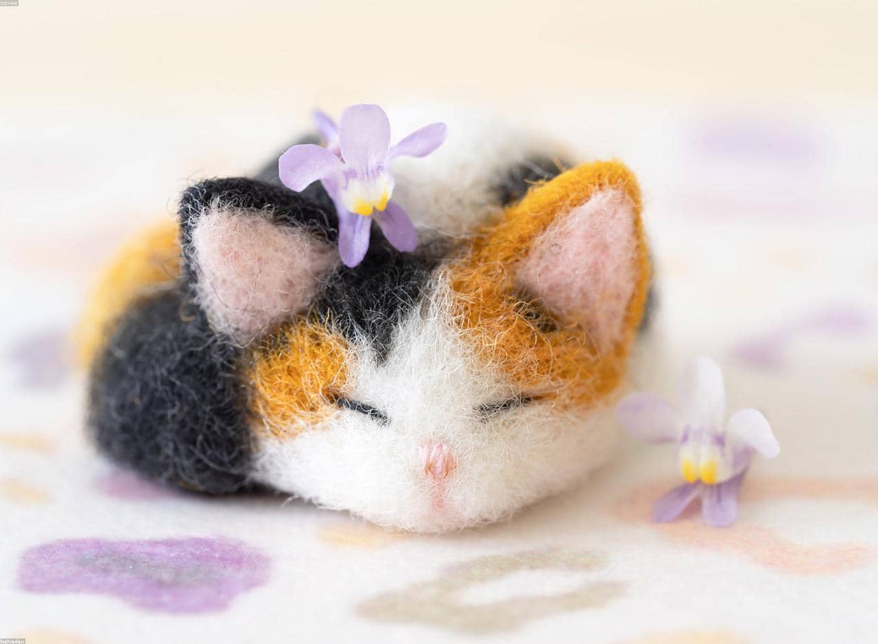 Test_wGytdmWmJJ